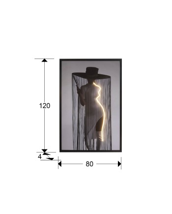 DIVA- CUADRO LUZ LED 80X120